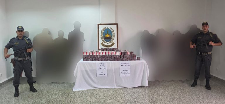 حجز 127500 قرص مهلوس من نوع بريغابالين 300 ملغ اجنبية الصنع