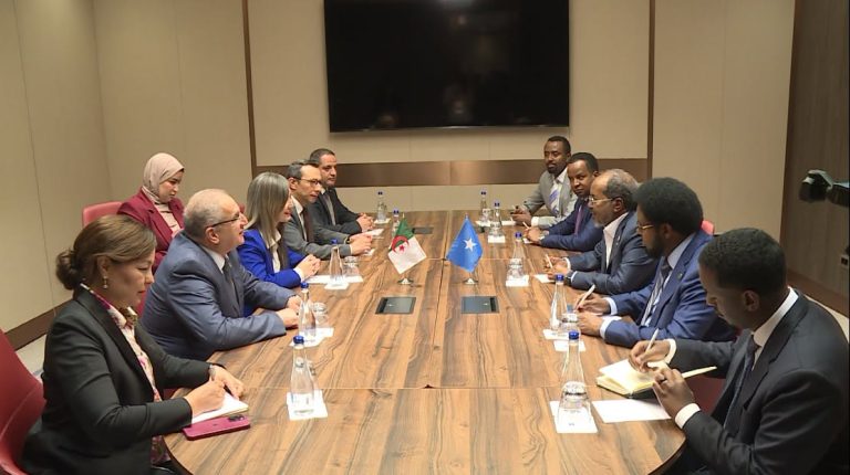 رئيسة المجلس الشعبي الوطني الدكتورة خليدة بوفدش تستقبل من قبل رئيس جمهورية الصومال الفيدرالية