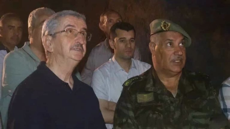 والي الولاية سطيف يتفقد ميدانيًا عمليات إخماد حرائق الغطاء النباتي بتالة إيفاسن