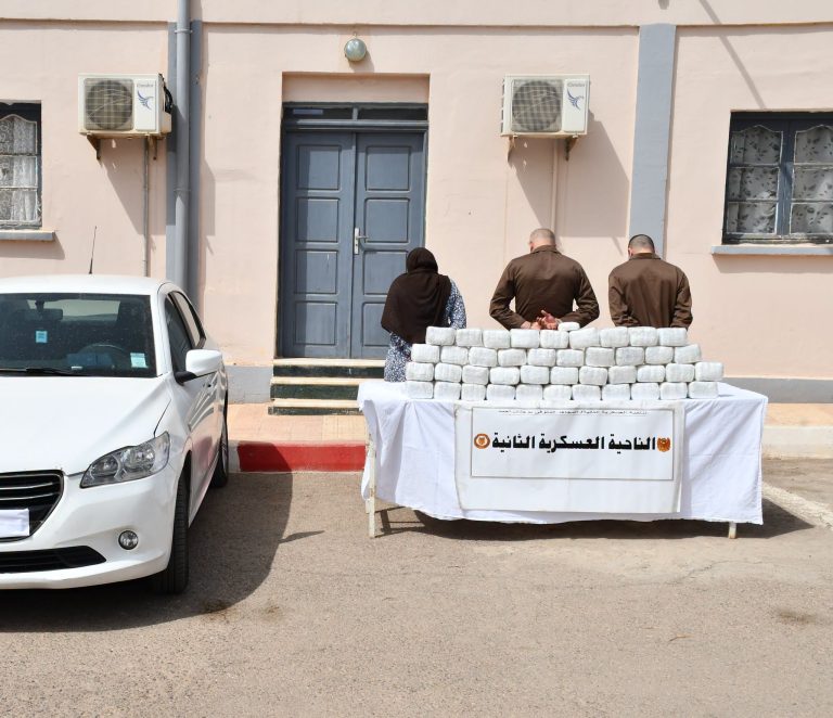 حصيلة أسبوعية للجيش الوطني الشعبي: توقيف إرهابيين وتجار مخدرات وإحباط عمليات تهريب