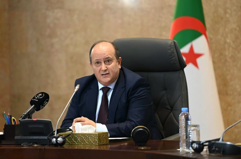 الوزير الأول ينصّب لجنة وزارية لإعداد قانون جديد لحماية السكان بالمناطق_الغابية من الحرائق