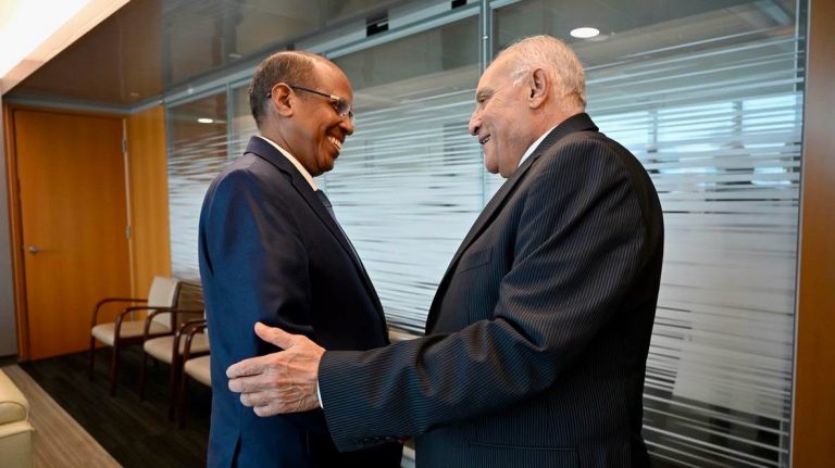 عطاف يلتقي رئيس مفوضية الاتحاد الإفريقي