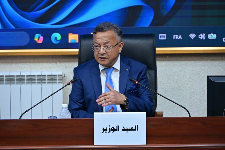 الجزائر تسرّع تنفيذ الاستراتيجية الوطنية للذكاء الاصطناعي وتستهدف تكوين 50 ألف مختص بحلول 2030