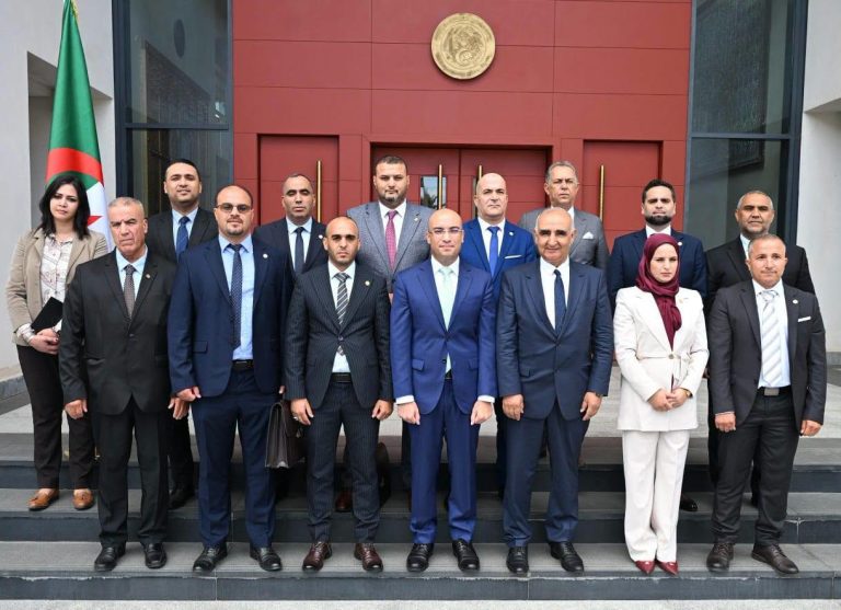 سفيان شايب يبحث مع نواب الجالية الوطنية بالخارج انشغالات الجزائريين المقيمين بالخارج