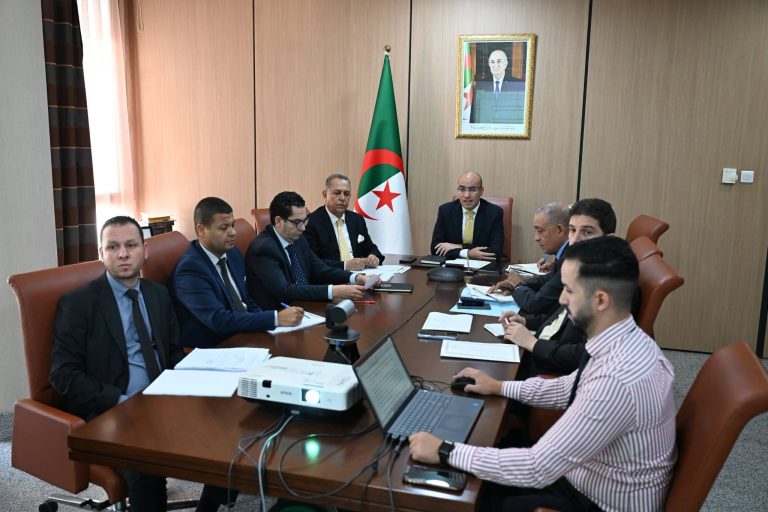 سفيان شايب يتابع جهود رقمنة الخدمات القنصلية وتعزيز التكفل بالجالية بالخارج