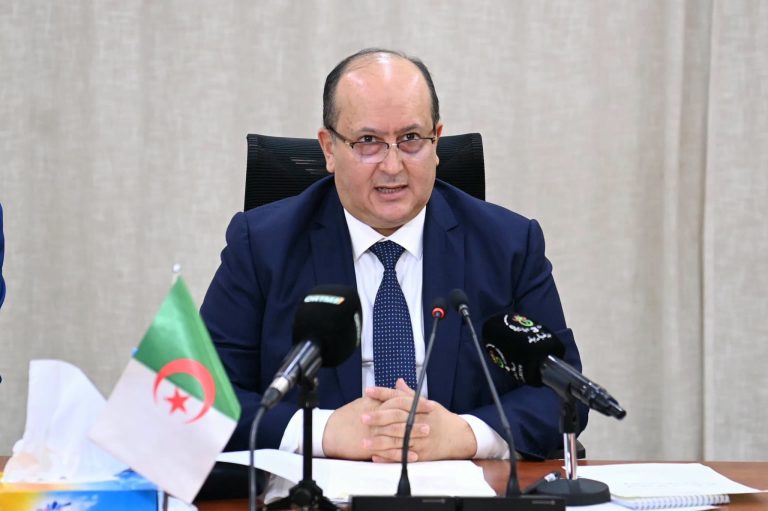 كلمة الوزير الأول، السيد سيفي غريب، في افتتاح جلسة العمل مع نظيره المالي.