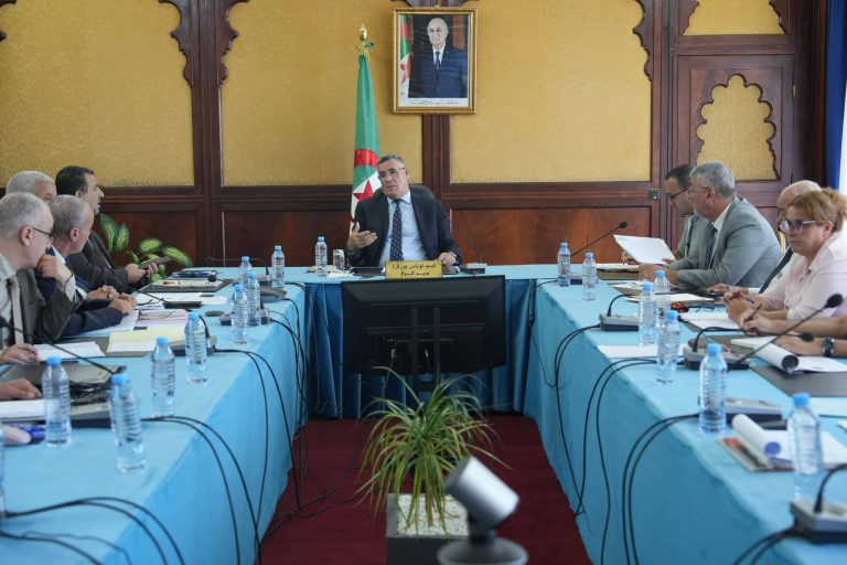 وزير الري يتابع مشاريع الربط البعدي لمحطات تحلية مياه البحر قيد الإطلاق وتلك قيد الإنجاز