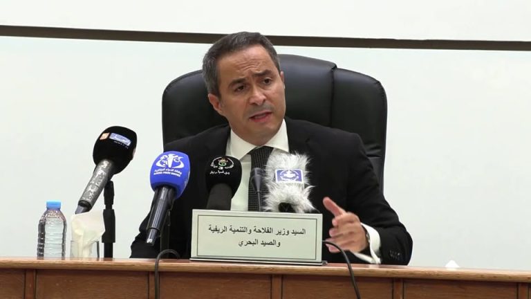 خالدي يبرز أهمية تعزيز مرافقة الفلاحين وتوسيع المساحات المزروعة بالحبوب