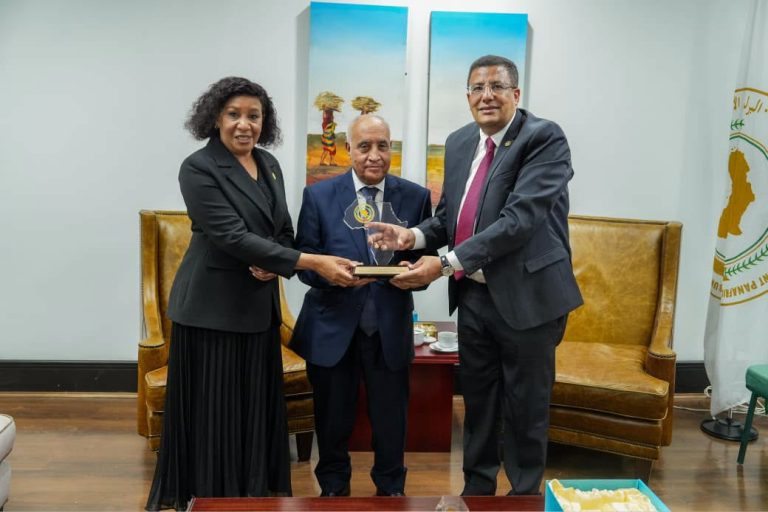 رئيس البرلمان الإفريقي يكرّم الأمين العام لمجلس الأمة محمد دريسي دادة بميدراند