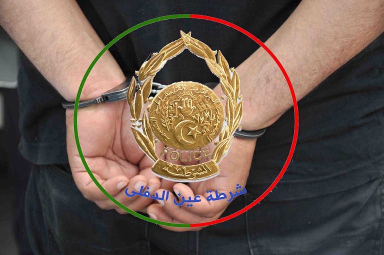 عمليات ميدانية للشرطة بعين الدفلى تسفر عن توقيف عدة أشخاص وحجز مهلوسات وسلاح أبيض