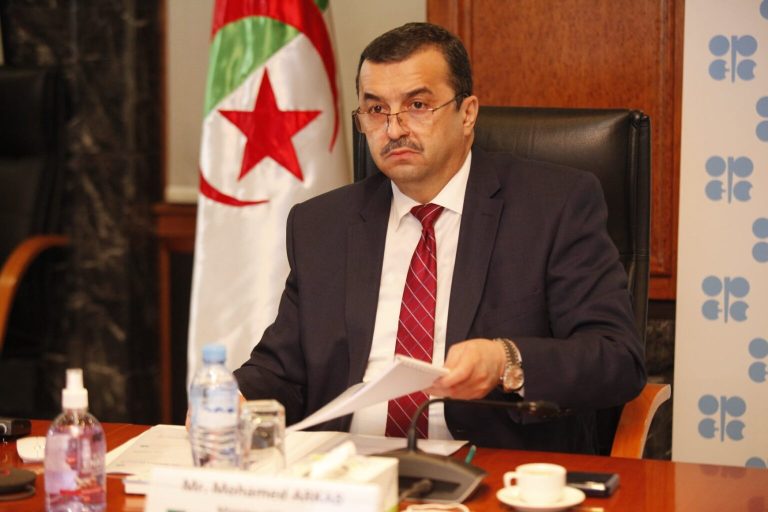 بتكليف من رئيس الجمهورية، وزير الدولة، وزير المحروقات في زيارة عمل إلى جمهورية النيجر