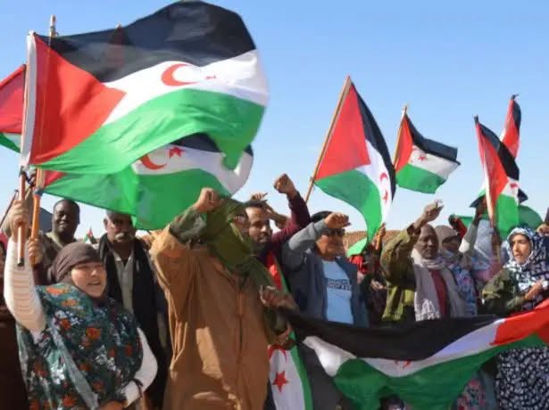 دعوات إلى إنهاء التمييز ضد الشعب الصحراوي و ضمان الحقوق والرقابة الدولية