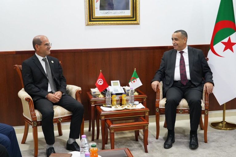 وزير الطاقة و الطاقات المتجددة يستقبل الوزير المكلّ بتسيير  وزارة  الصناعة و المناجم و الطاقة في تونس