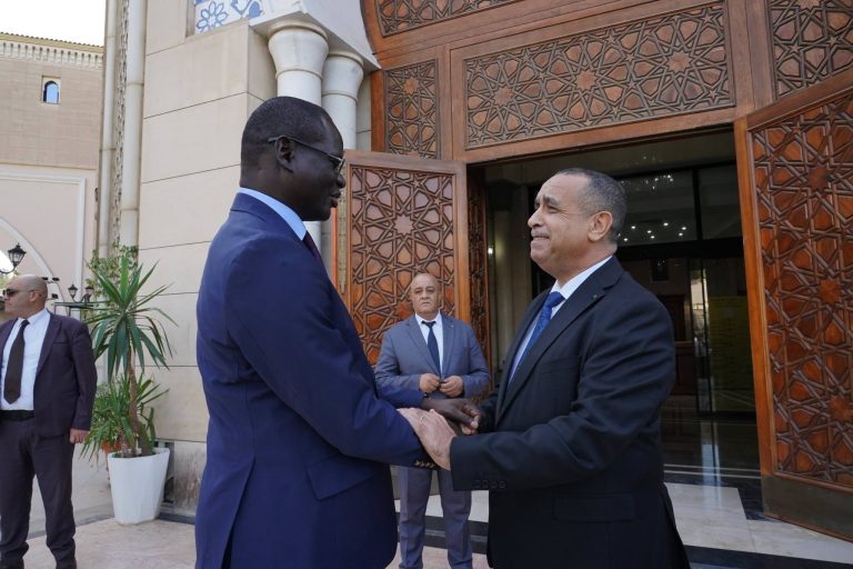 وزير الطاقة و الطاقات المتجددة يستقبل وزير الطاقة و البترول  لجمهورية السنغال