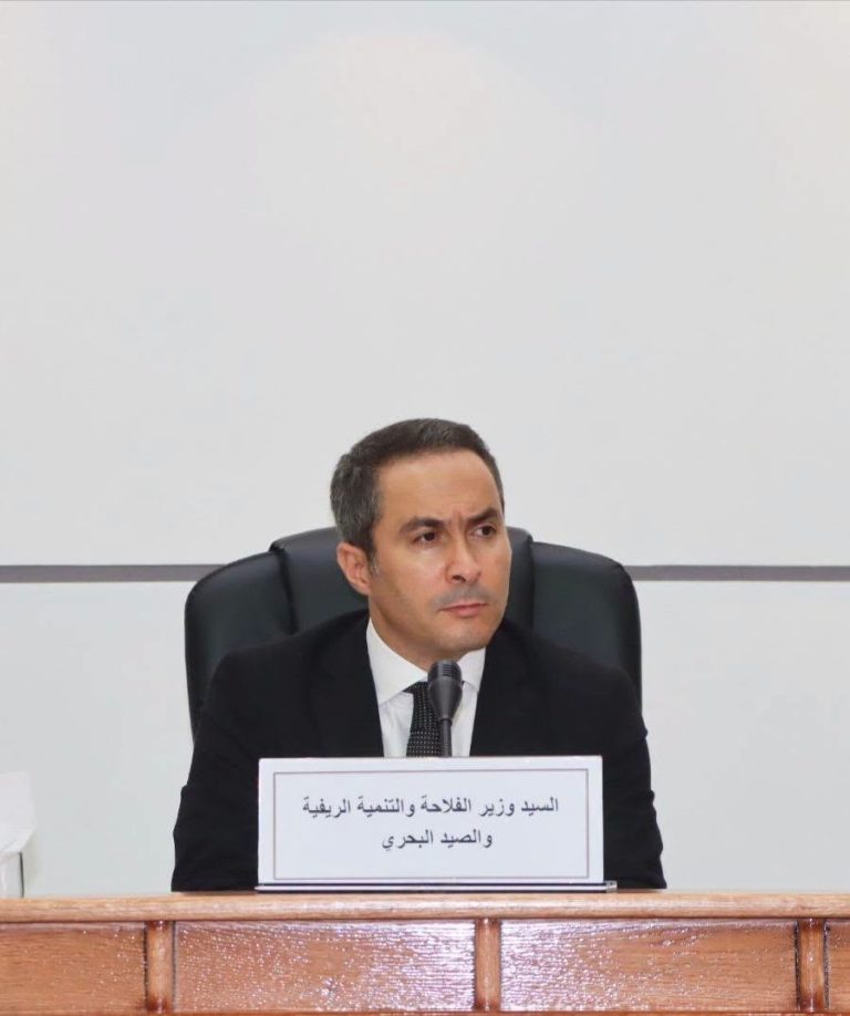 الجزائر ضيف شرف في القمة الاقتصادية الإسكندنافية-الإفريقية بأوسلو