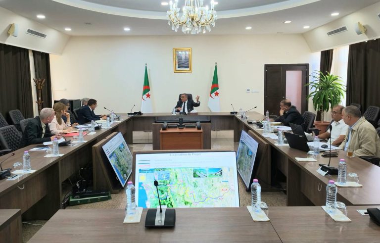 وزير الأشغال العمومية يترأس اجتماعًا لتسريع إنجاز مشاريع الطرق السيارة ومتابعة تقدم الأشغال