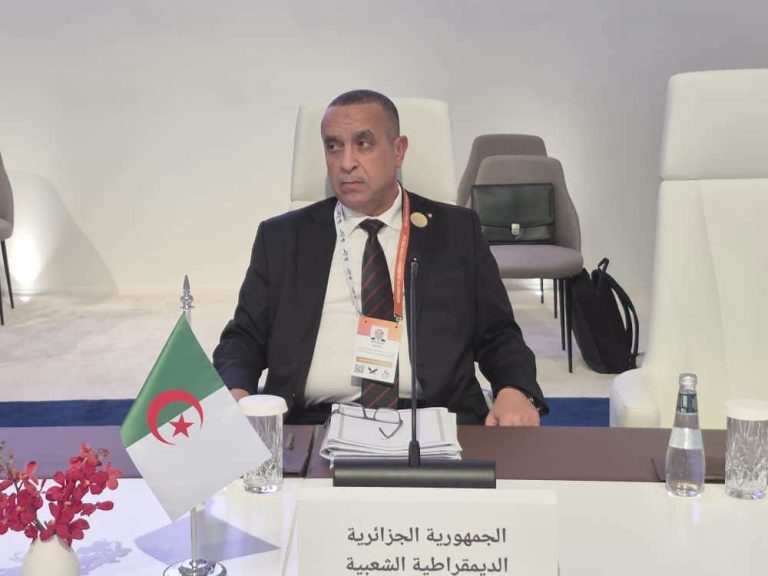 وزير الطاقة والطاقات المتجددة يشارك في أشغال الاجتماع السادس عشر للمجلس الوزاري العربي للكهرباء