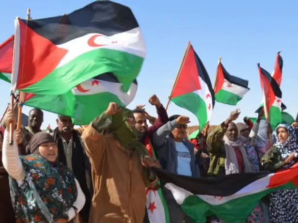 ندوة التضامن مع الشعب الصحراوي “إيكوكو 2026” يومي 13 و 14 نوفمبر المقبل بمدريد