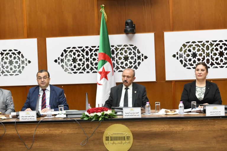 لجنة المالية تستهل دراسة الميزانيات القطاعية بمناقشة المخصصات المالية وأهداف قطاع المحروقات